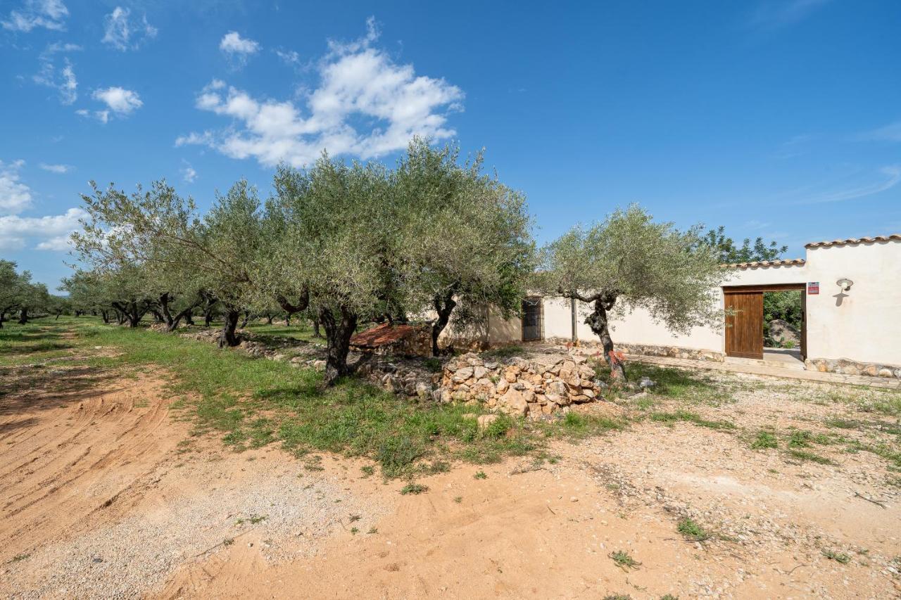 Casa En Olivera A 3 Km De La Costa Эль-Перельо Экстерьер фото